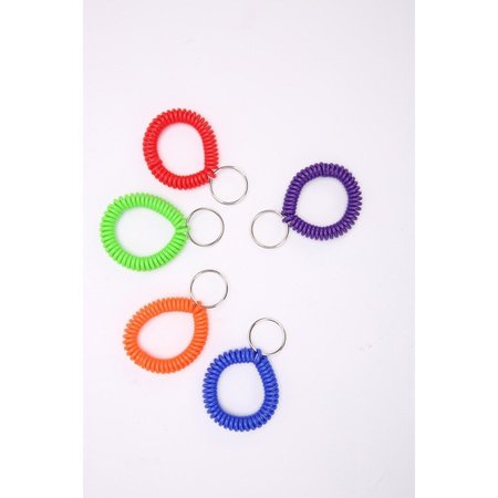 SPARCO Key Holder, Coil, 2-1/10"Wx2-2/5"Lx2-1/10"H, 10/PK, Assorted SPR02884